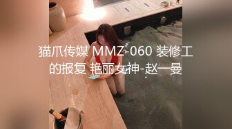 猫爪传媒 MMZ-060 装修工的报复 艳丽女神-赵一曼