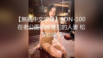 【無碼中文字幕】ADN-100 在老公面前被侵犯的人妻 松下紗栄子