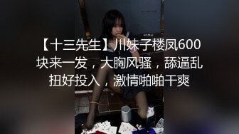 【十三先生】川妹子楼凤600块来一发，大胸风骚，舔逼乱扭好投入，激情啪啪干爽