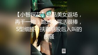 【小智探花】极品美女返场，再干一炮，跪地吸屌活很棒，S型细腰，扶着屁股后入叫的很骚