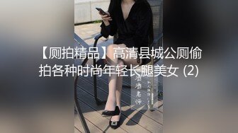 【厕拍精品】高清县城公厕偷拍各种时尚年轻长腿美女 (2)