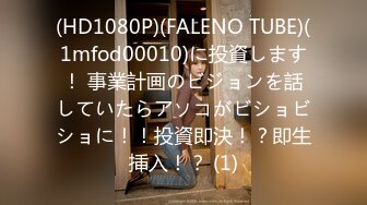 (HD1080P)(FALENO TUBE)(1mfod00010)に投資します！ 事業計画のビジョンを話していたらアソコがビショビショに！！投資即決！？即生挿入！？ (1)