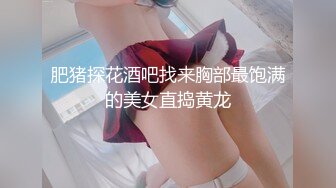 肥猪探花酒吧找来胸部最饱满的美女直捣黄龙