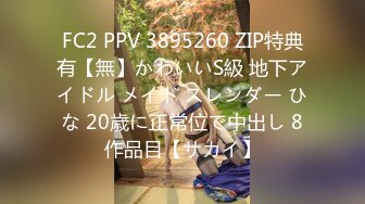 FC2 PPV 3895260 ZIP特典有【無】かわいいS級 地下アイドル メイド スレンダー ひな 20歳に正常位で中出し 8作品目【サカイ】